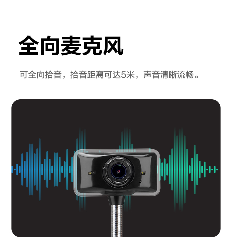 C11LPro_05.jpg